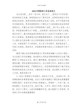 2024年团组织工作总结范文