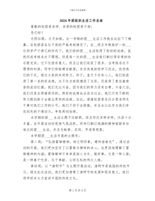 2024年团组织生活工作总结