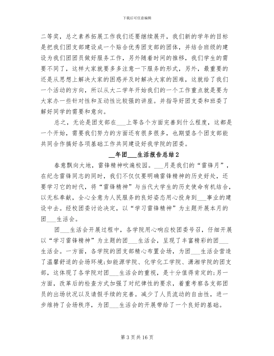 2024年团组织生活报告总结_第3页