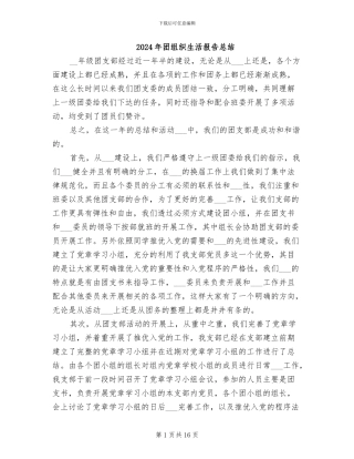 2024年团组织生活报告总结