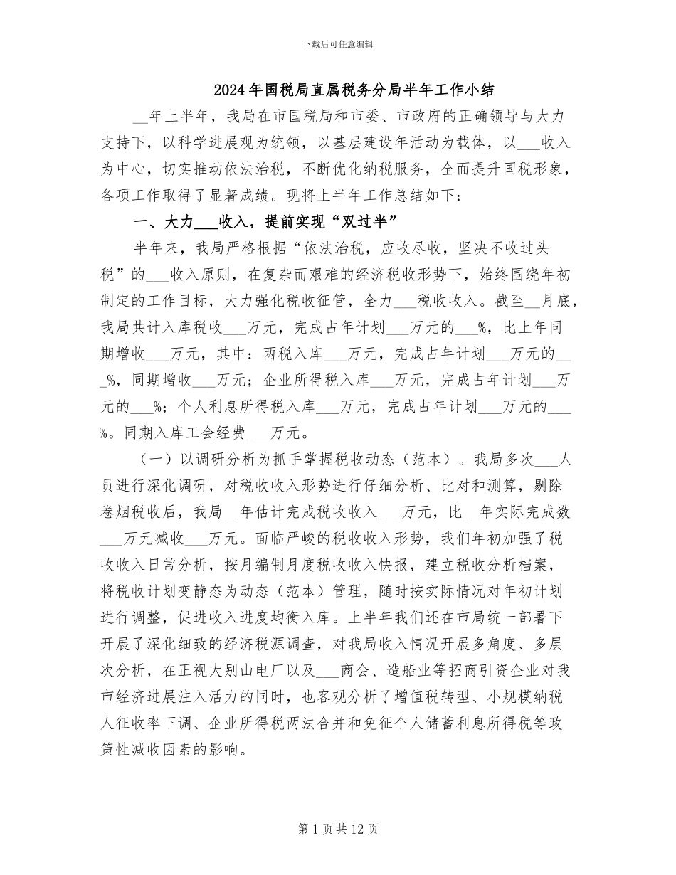 2024年国税局直属税务分局半年工作小结_第1页