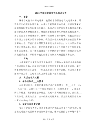 2024年国际贸易实训总结及心得