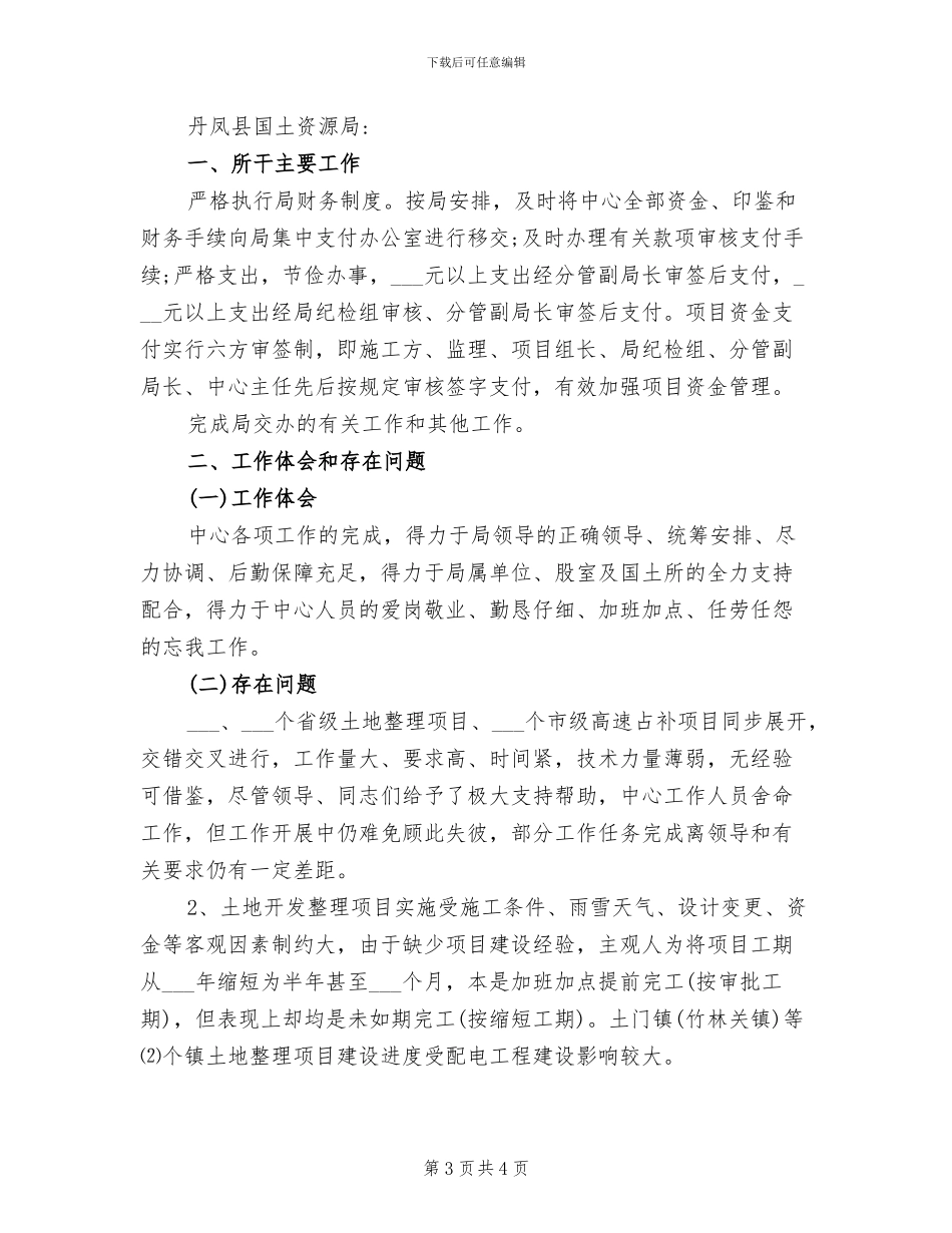 2024年土地开发复垦整理中心工作总结报告_第3页