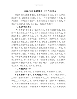 2024年在乡镇挂职锻炼一年个人工作总结