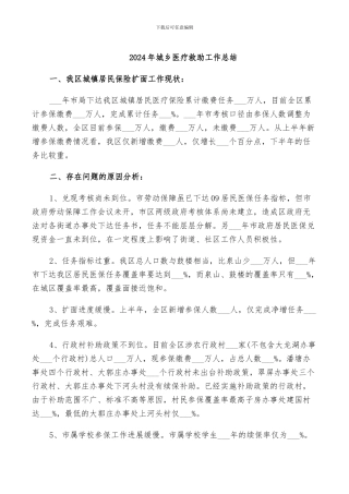2024年城乡医疗救助工作总结