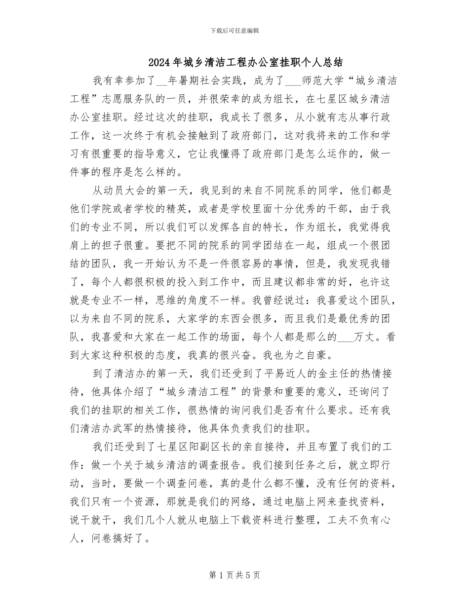 2024年城乡清洁工程办公室挂职个人总结_第1页