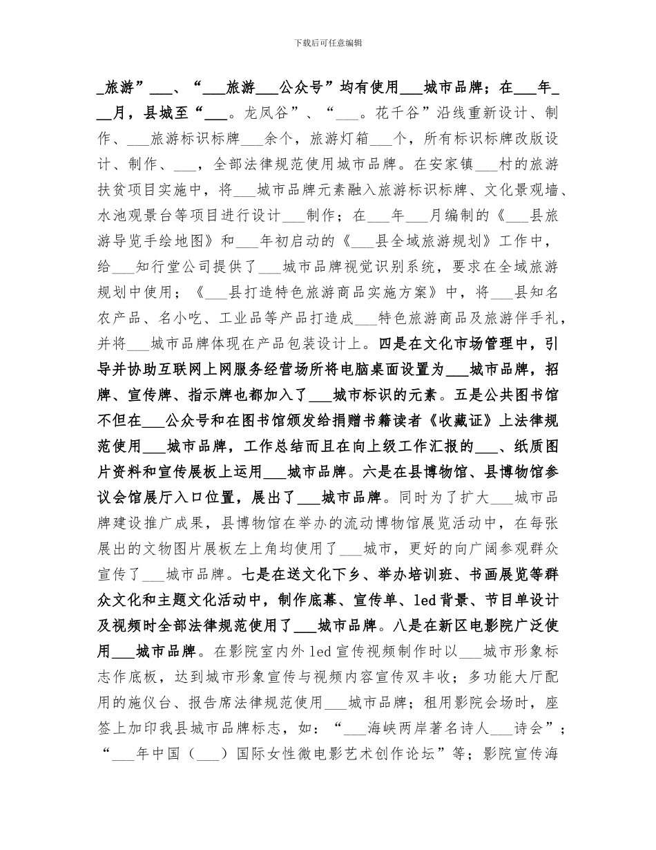 2024年城市品牌建设工作总结_第2页
