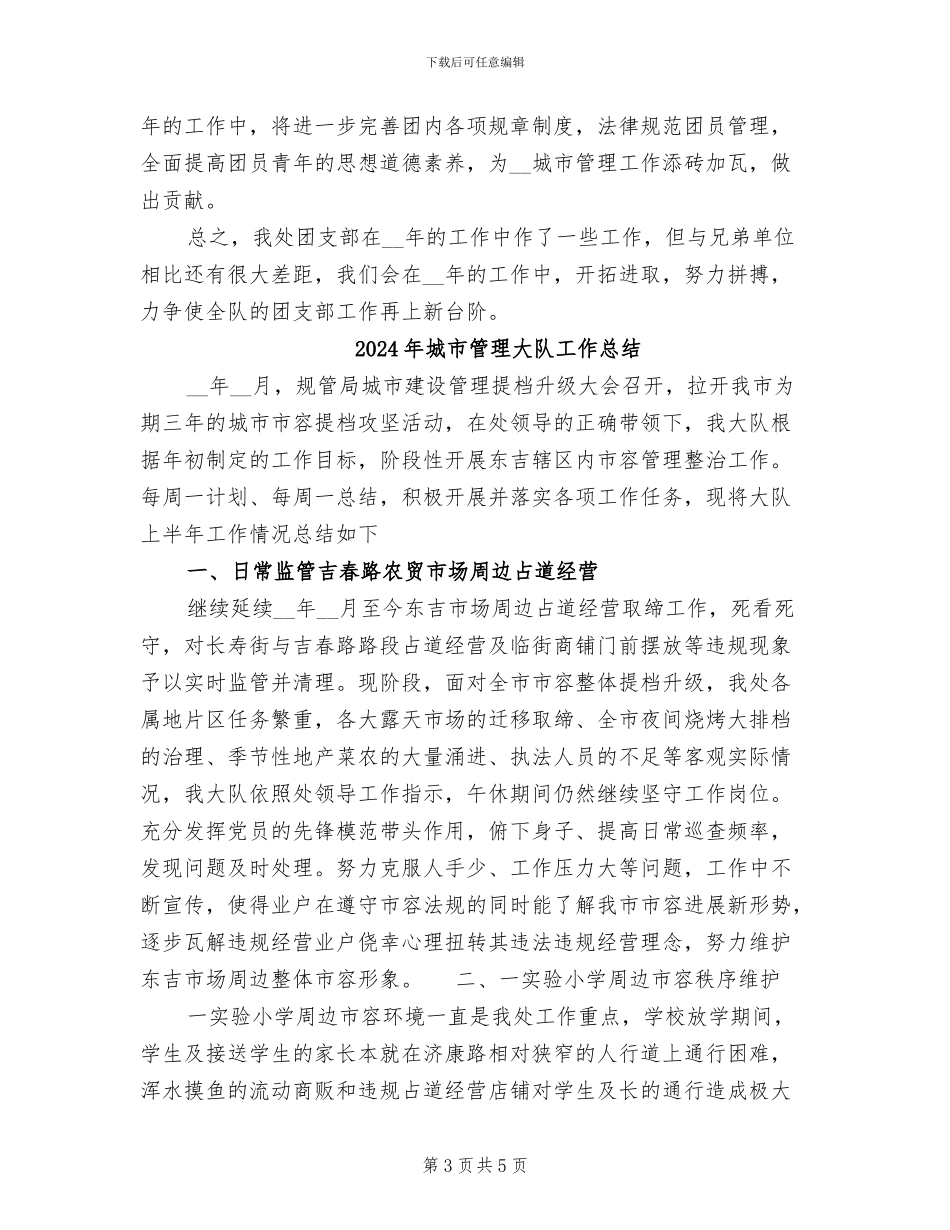 2024年城市管理团支部工作总结_第3页