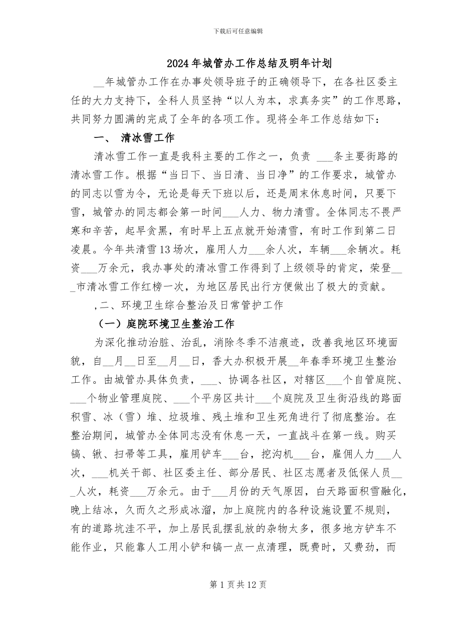 2024年城管办工作总结及明年计划_第1页