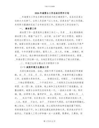 2024年城管办工作总结及明年计划