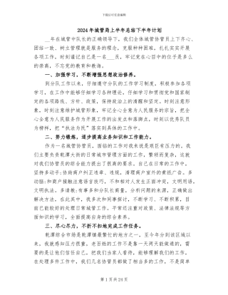 2024年城管局上半年总结下半年计划