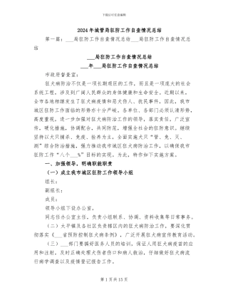 2024年城管局狂防工作自查情况总结