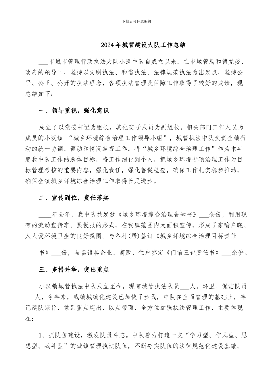 2024年城管建设大队工作总结_第1页