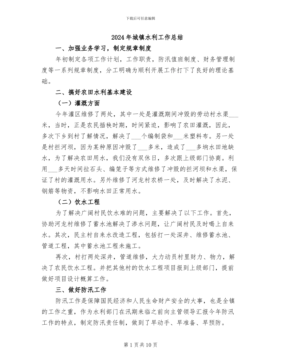 2024年城镇水利工作总结_第1页