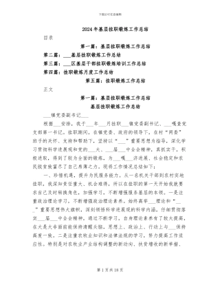 2024年基层挂职锻炼工作总结