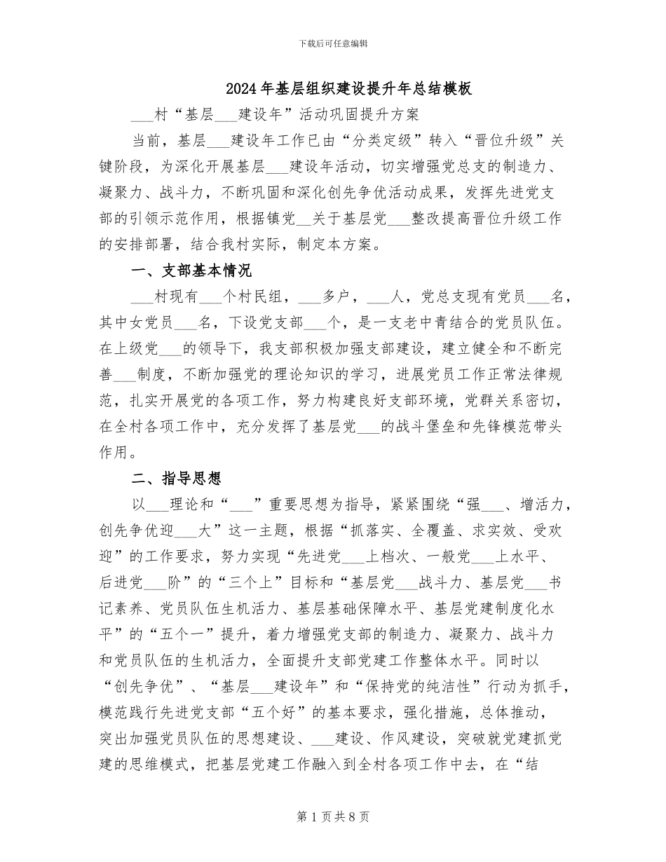 2024年基层组织建设提升年总结模板_第1页