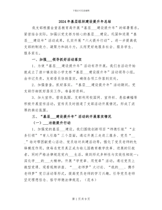 2024年基层组织建设提升年总结