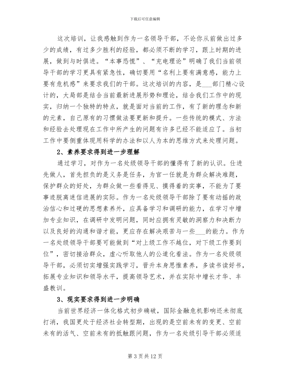 2024年处级干部个人工作总结_第3页