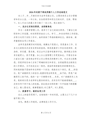 2024年处级干部试用期个人工作总结范文