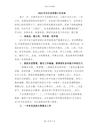 2024年处长试用期工作总结