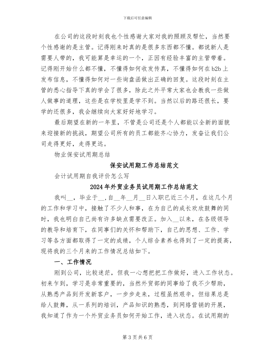 2024年外贸业务员试用期工作总结_第3页