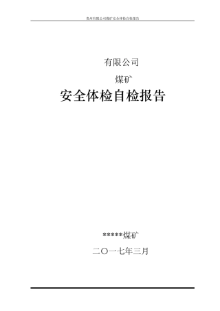 煤矿安全体检自检报告