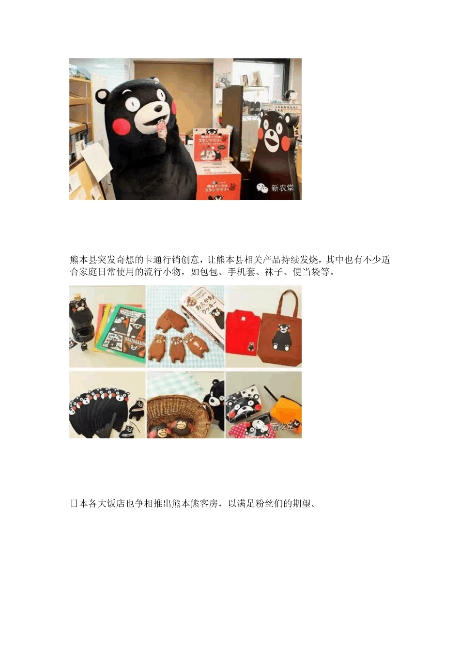 熊本熊的故事：12亿美元背后的日本区域公用品牌_第2页