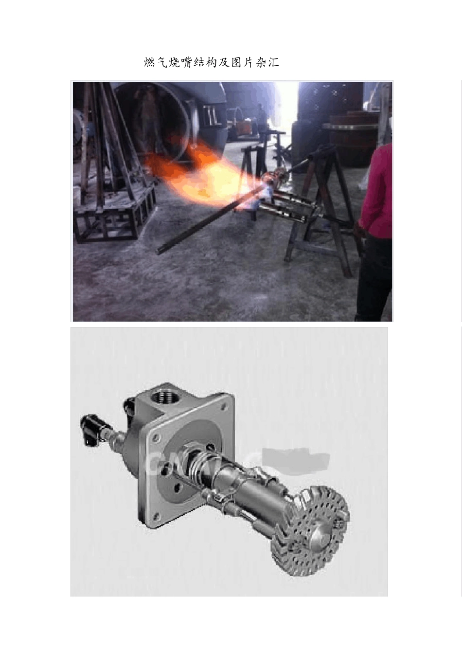 燃气烧嘴结构及图片杂汇_第1页