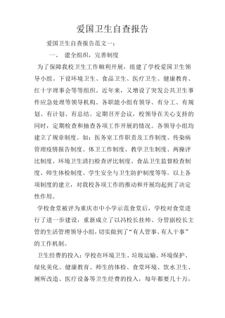 爱国卫生自查报告