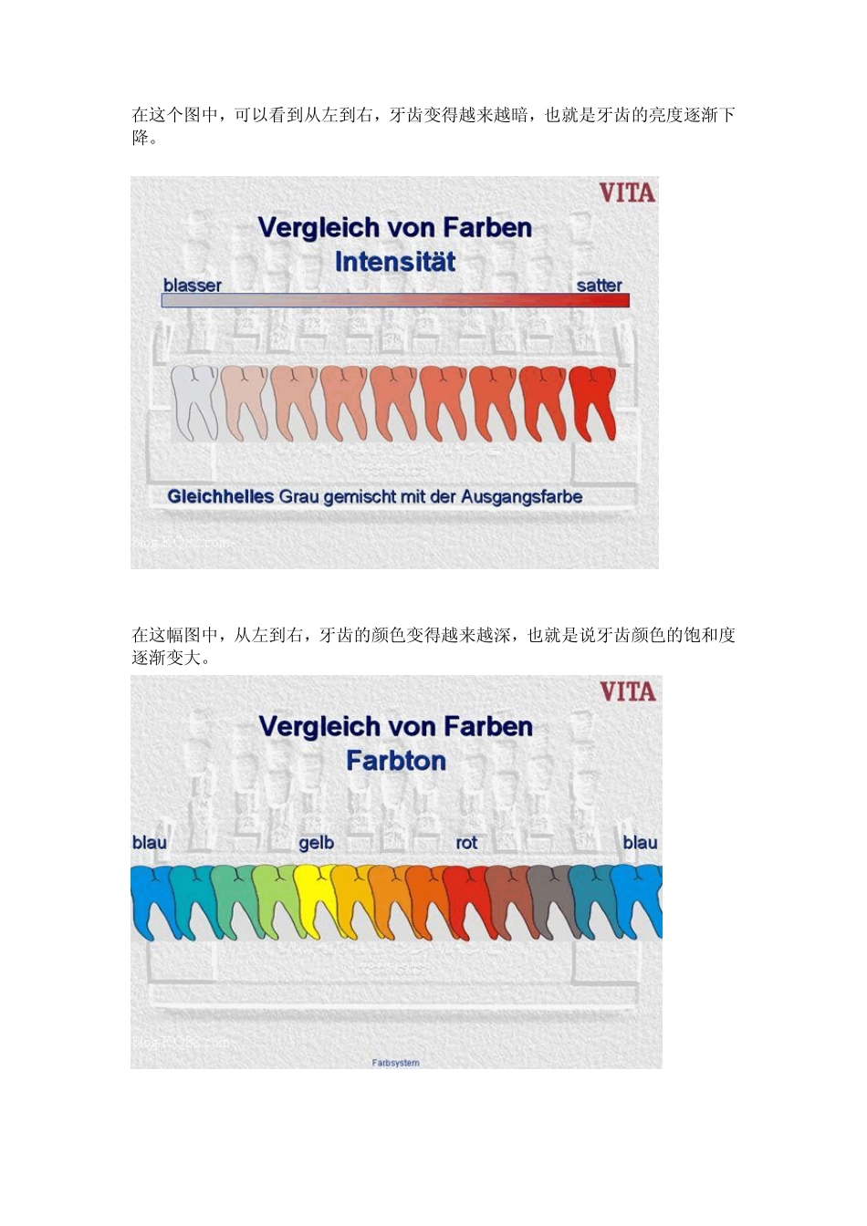 牙科专家详细讲解牙科比色_第2页