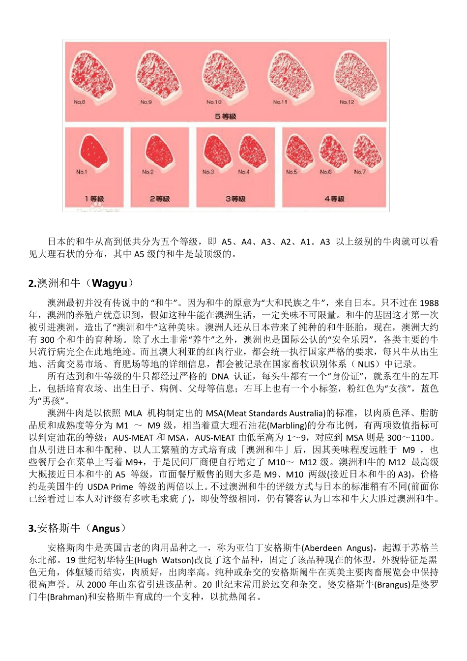 牛排知识讲解_第2页