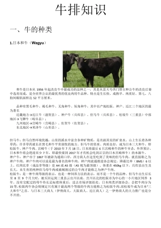 牛排知识讲解