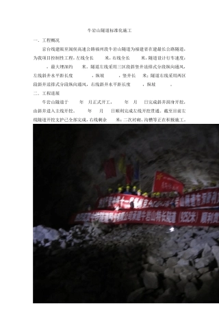牛岩山隧道标准化施工