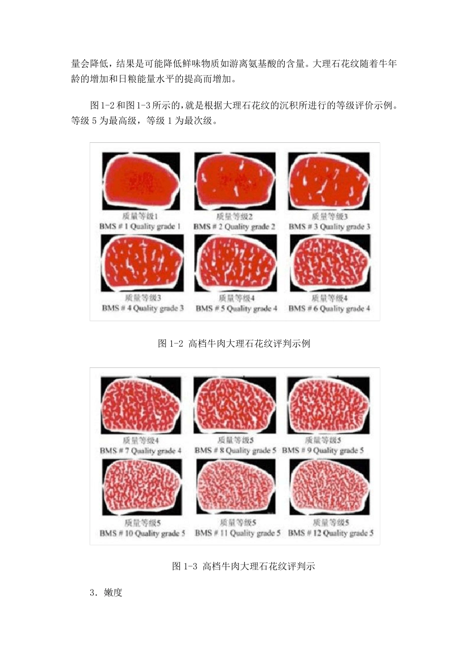 牛肉常规检测的指标_第2页
