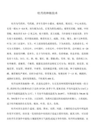 牡丹的种植技术