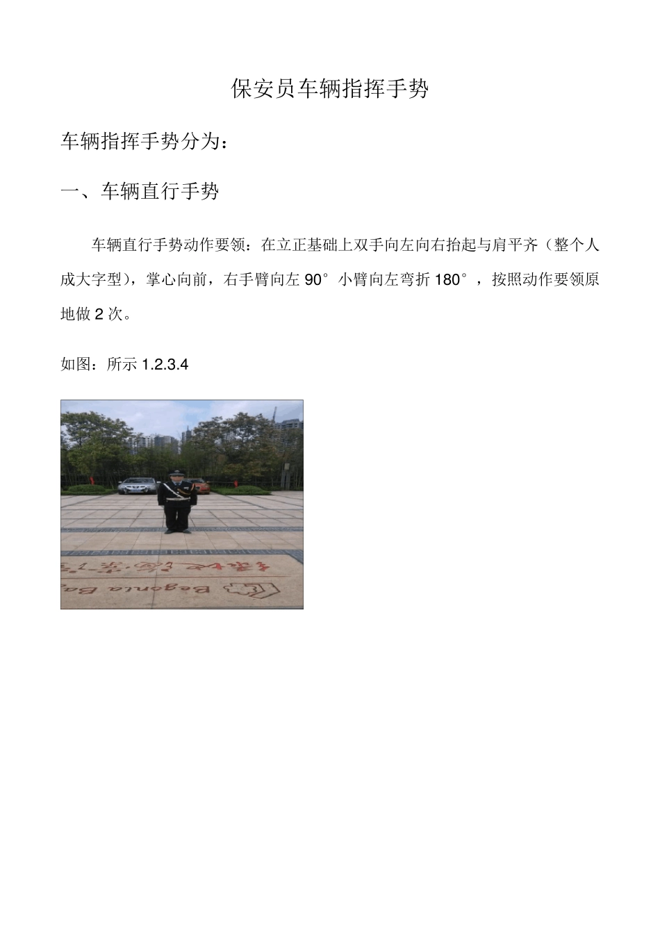 物业秩序维护部车辆指挥手势_第1页