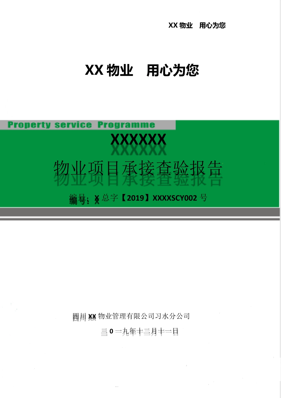 物业项目承接查验报告_第1页