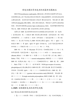 特发性膜性肾病发病机制最新进展概述