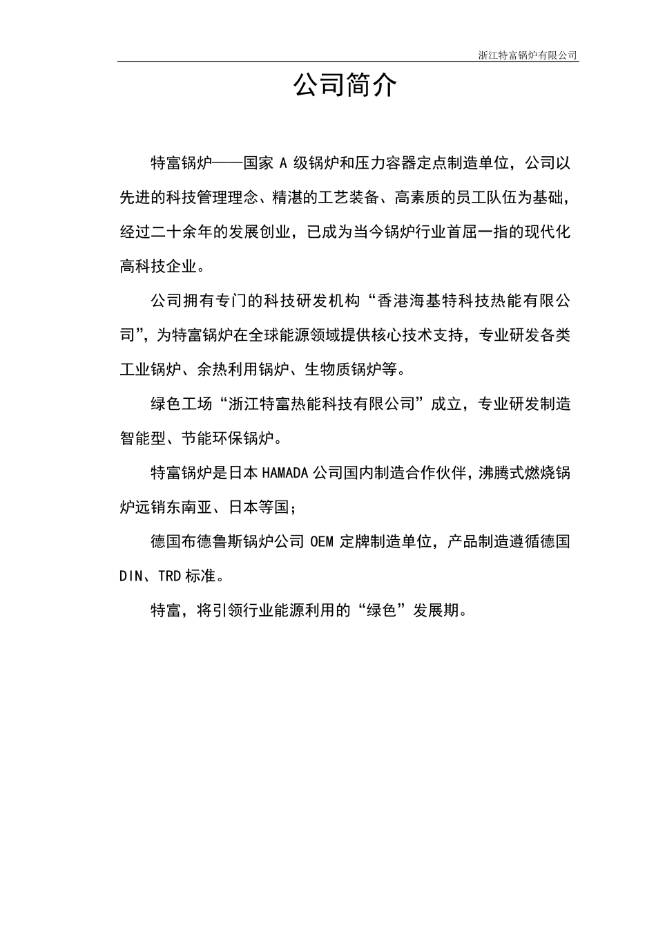 特富锅炉说明书_第2页