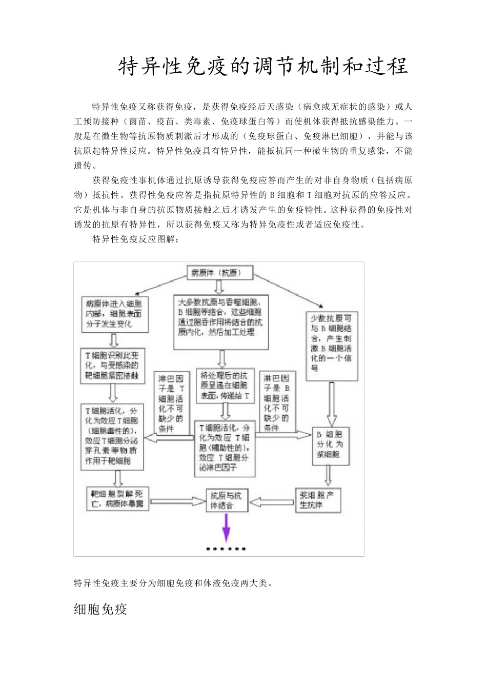 特异性免疫的调节机制和过程_第1页