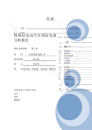特斯拉分析报告
