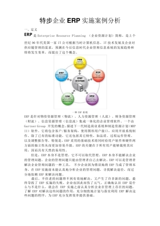 特步企业ERP实施案例分析