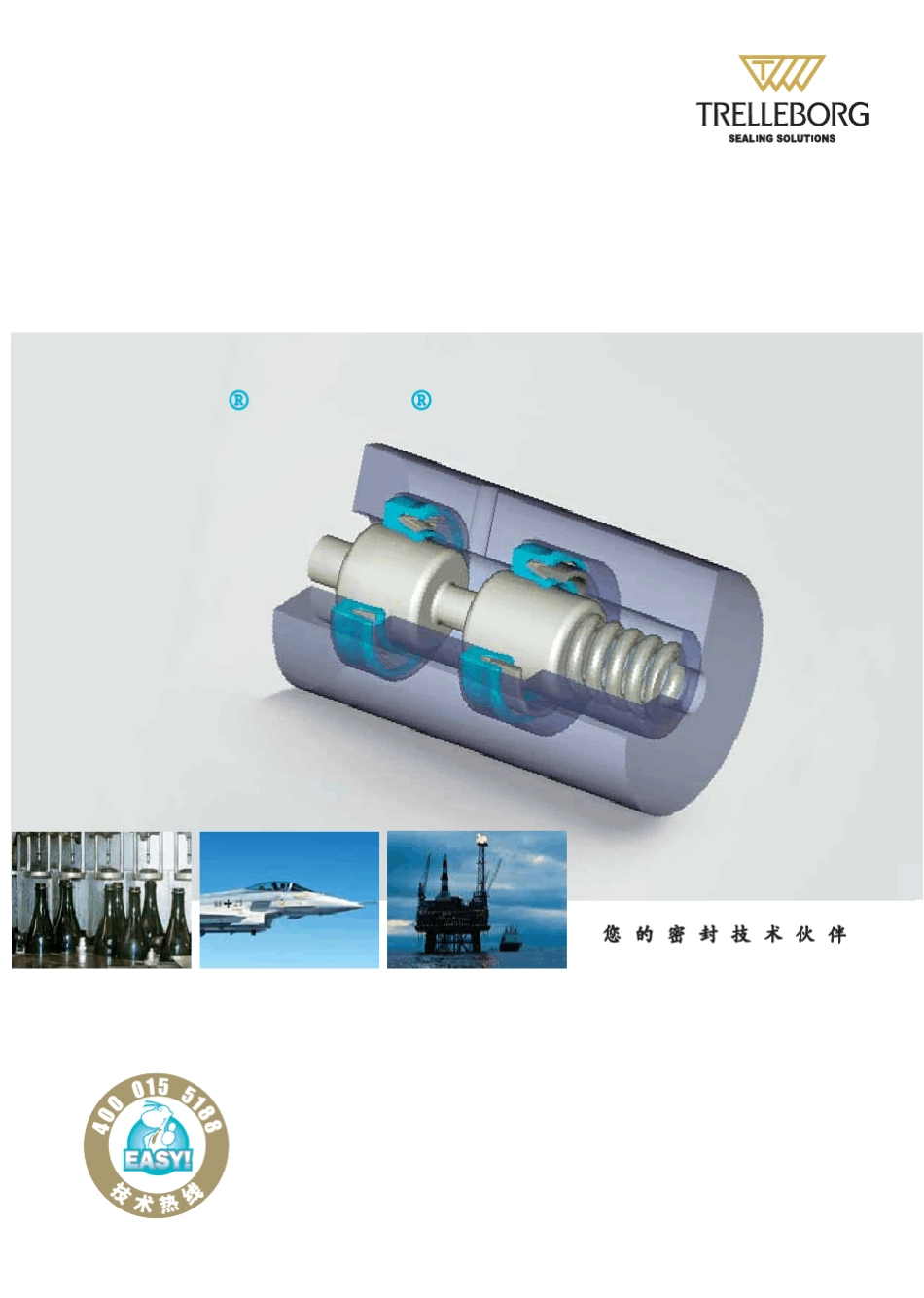 特瑞堡密封泛塞密封_第1页