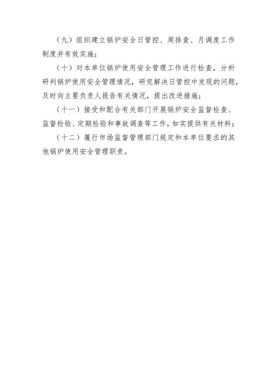 特种设备使用单位安全总监职责_第3页