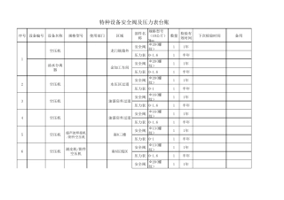 特种设备安全阀及压力表台账