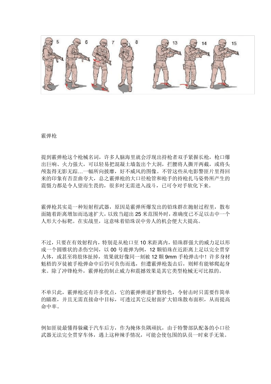 特警战术技巧手册(实战版)1_第3页