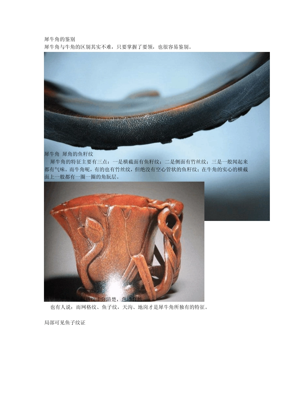 犀牛角的鉴别_第1页