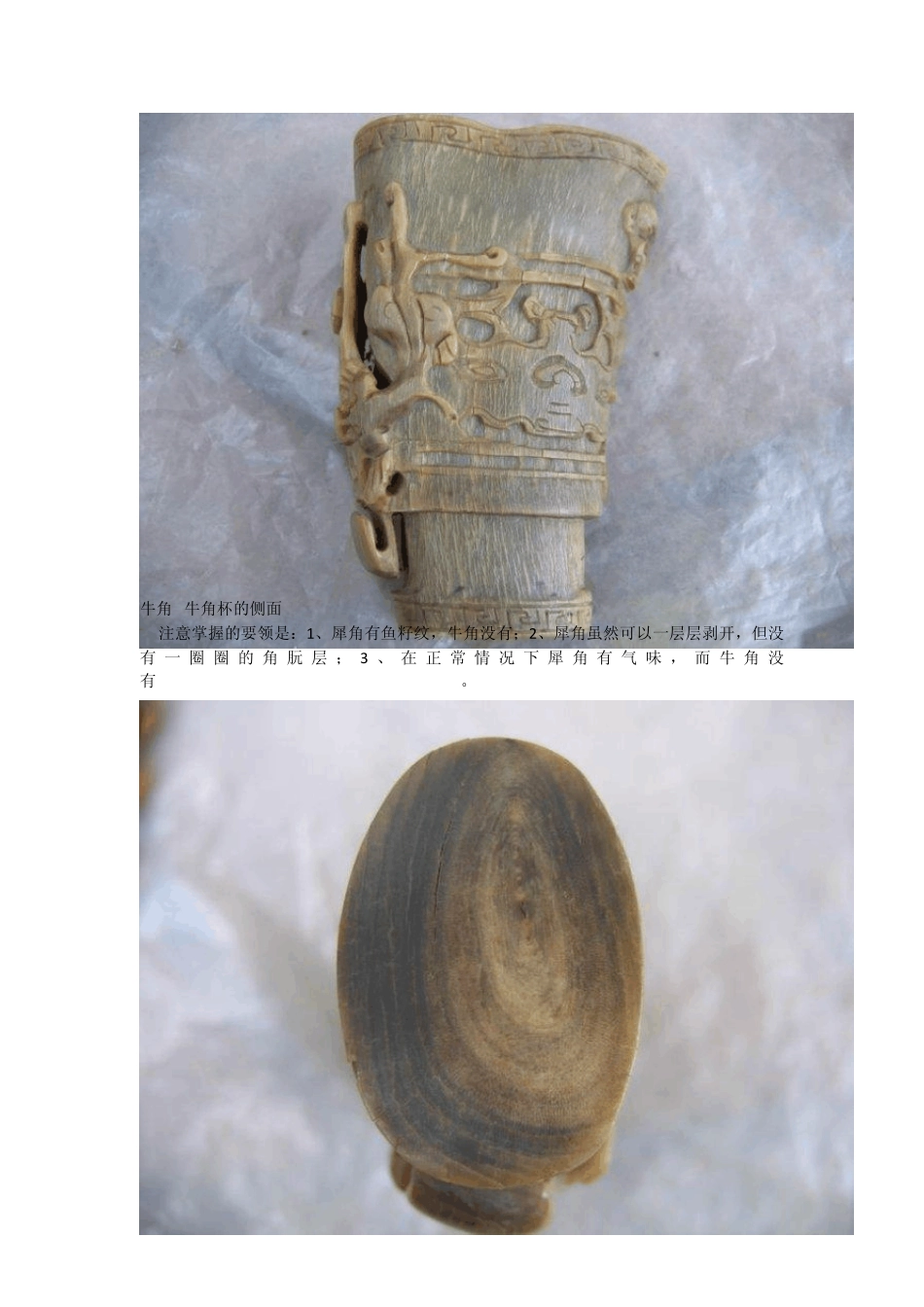 犀牛角的鉴别_第2页