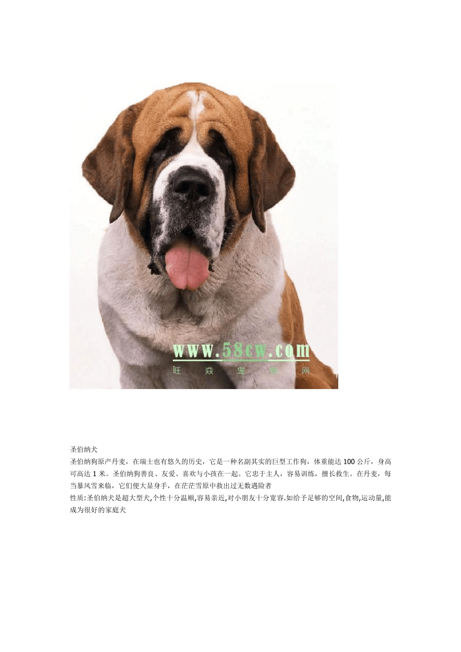 狗狗相册识别常见狗及著名狗_第3页