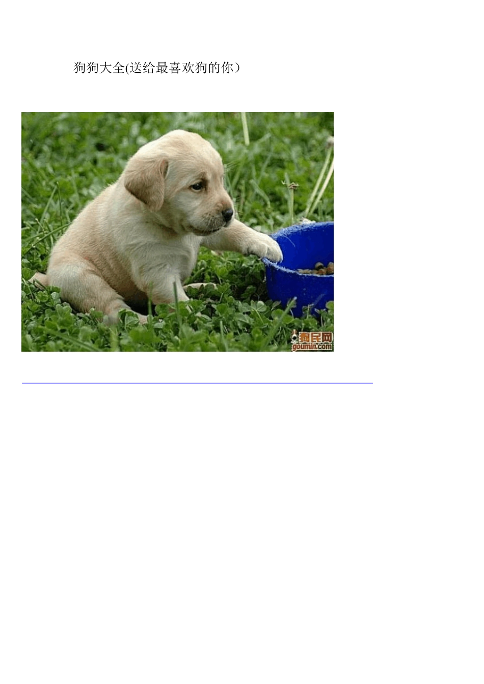 狗狗种类大全(图)_第1页